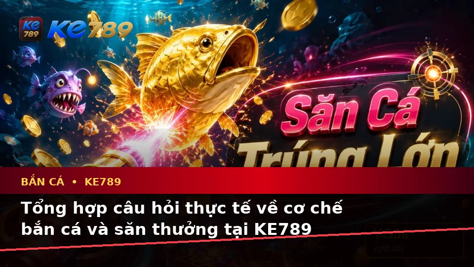 Bắn Cá KE789 Tại ke789pg.vip: Tổng Hợp Câu Hỏi Thực Tế Về Săn Thưởng Và Quyền Lợi Thành Viên