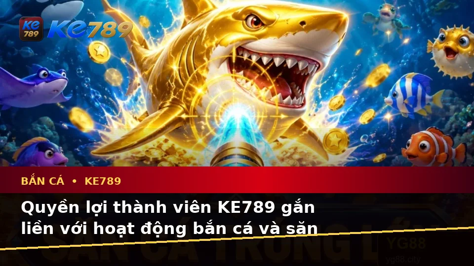 Bắn Cá KE789 Tại ke789pg.vip: Giải Thích Thuật Ngữ Cốt Lõi Khi Săn Thưởng Và Quyền Lợi Thành Viên
