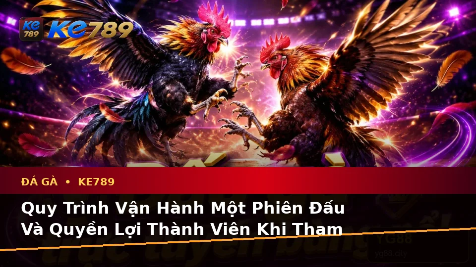 Giải Thích Biểu Tượng, Tính Năng Và Quy Trình Đá Gà Trực Tuyến KE789: Quản Lý Phiên Chơi Và Quyền Lợi Thành Viên Tại ke789pg.vip