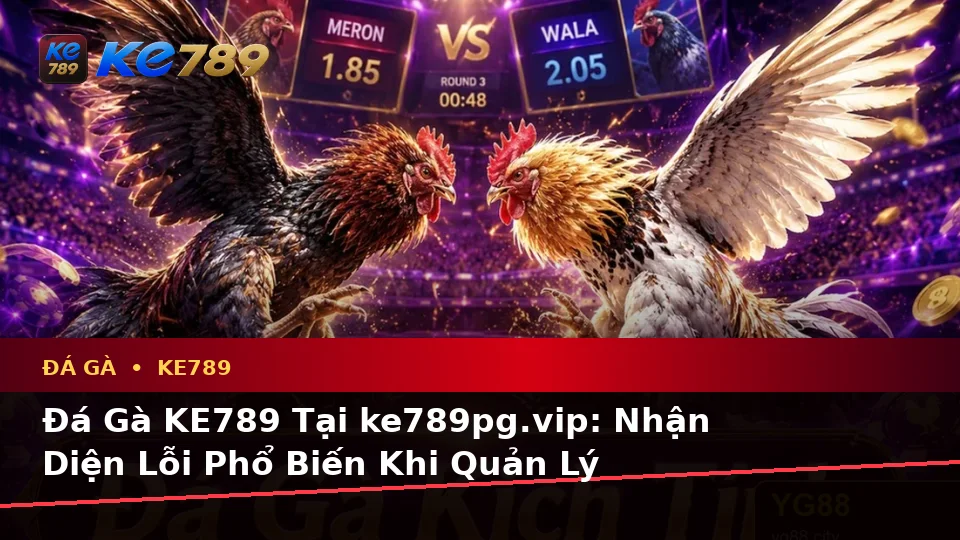 Đá Gà KE789 Tại ke789pg.vip: Nhận Diện Lỗi Phổ Biến Khi Quản Lý Phiên Chơi Trực Tuyến Và Cách Xử Lý Có Trách Nhiệm