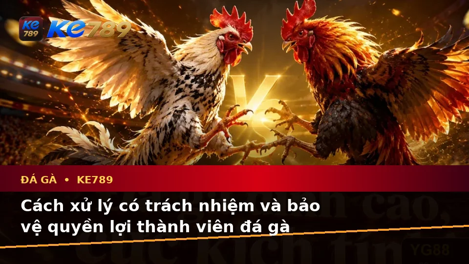Đá Gà KE789 Tại ke789pg.vip: Nhận Diện Lỗi Phổ Biến Khi Quản Lý Phiên Chơi Trực Tuyến Và Cách Xử Lý Có Trách Nhiệm