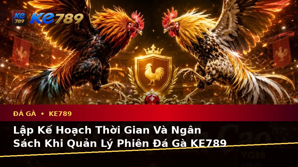 Đá Gà KE789 Tại ke789pg.vip: Lập Kế Hoạch Thời Gian, Ngân Sách Và Lịch Sử Sử Dụng Cho Phiên Chơi Trực Tuyến