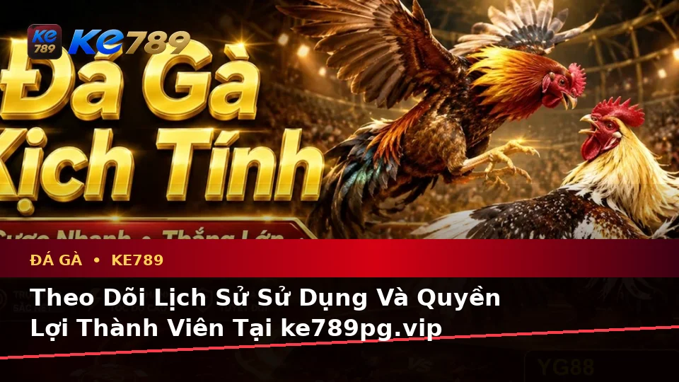 Đá Gà KE789 Tại ke789pg.vip: Lập Kế Hoạch Thời Gian, Ngân Sách Và Lịch Sử Sử Dụng Cho Phiên Chơi Trực Tuyến