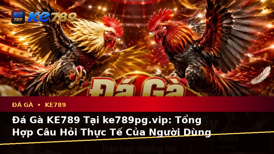 Đá Gà KE789 Tại ke789pg.vip: Tổng Hợp Câu Hỏi Thực Tế Của Người Dùng Trưởng Thành Về Phiên Chơi Trực Tuyến Và Quyền Lợi Thành Viên