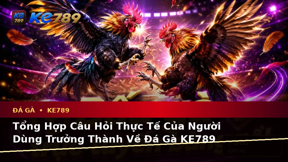 Đá Gà KE789 Tại ke789pg.vip: Tổng Hợp Câu Hỏi Thực Tế Của Người Dùng Trưởng Thành Về Phiên Chơi Trực Tuyến Và Quyền Lợi Thành Viên