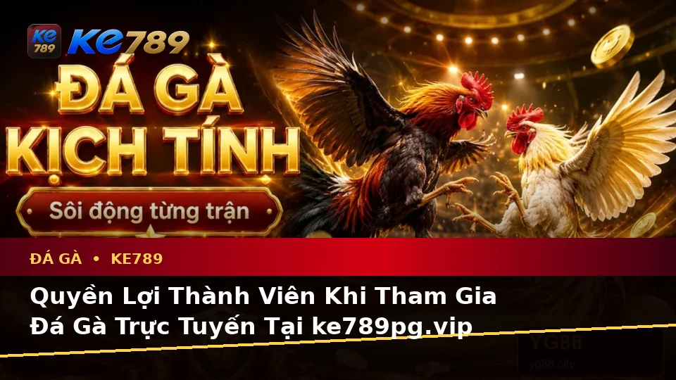 Đá Gà KE789 Tại ke789pg.vip: Tổng Hợp Câu Hỏi Thực Tế Của Người Dùng Trưởng Thành Về Phiên Chơi Trực Tuyến Và Quyền Lợi Thành Viên