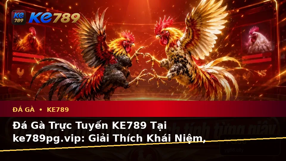 Đá Gà Trực Tuyến KE789 Tại ke789pg.vip: Giải Thích Khái Niệm, Thuật Ngữ Cốt Lõi Và Quyền Lợi Thành Viên Khi Quản Lý Phiên Chơi