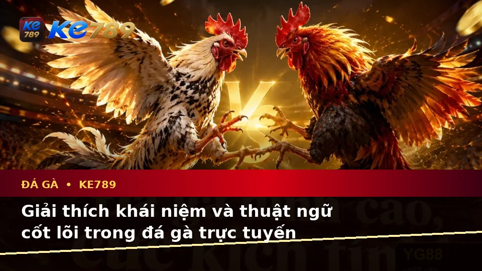 Đá Gà Trực Tuyến KE789 Tại ke789pg.vip: Giải Thích Khái Niệm, Thuật Ngữ Cốt Lõi Và Quyền Lợi Thành Viên Khi Quản Lý Phiên Chơi
