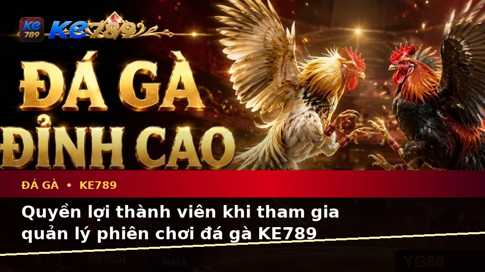 Đá Gà Trực Tuyến KE789 Tại ke789pg.vip: Giải Thích Khái Niệm, Thuật Ngữ Cốt Lõi Và Quyền Lợi Thành Viên Khi Quản Lý Phiên Chơi