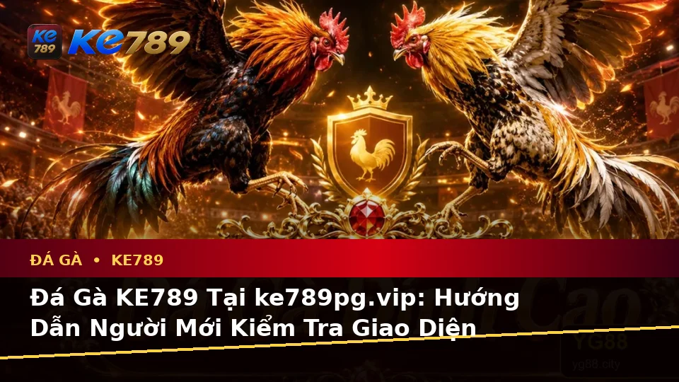 Đá Gà KE789 Tại ke789pg.vip: Hướng Dẫn Người Mới Kiểm Tra Giao Diện Và Thông Tin Quan Trọng Về Quyền Lợi Thành Viên