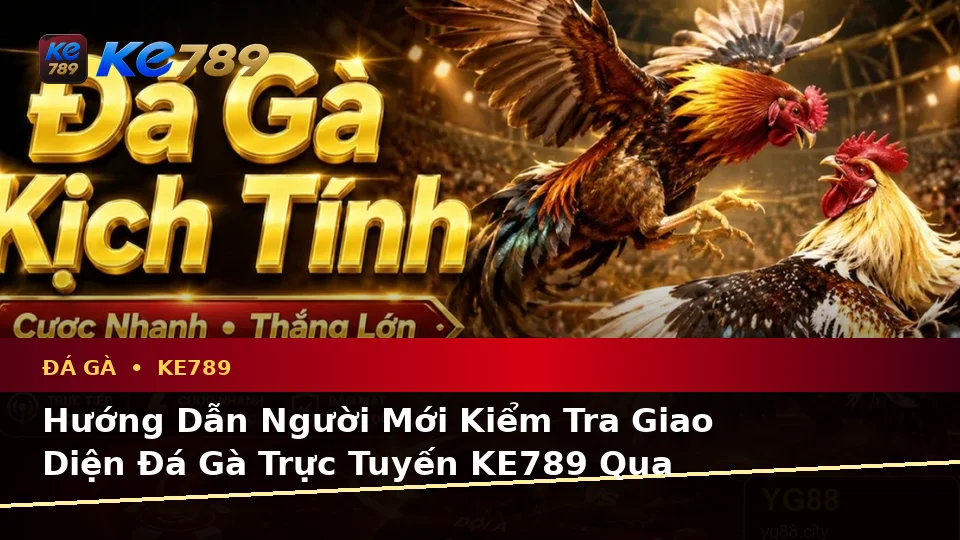 Đá Gà KE789 Tại ke789pg.vip: Hướng Dẫn Người Mới Kiểm Tra Giao Diện Và Thông Tin Quan Trọng Về Quyền Lợi Thành Viên