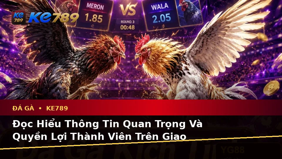 Đá Gà KE789 Tại ke789pg.vip: Hướng Dẫn Người Mới Kiểm Tra Giao Diện Và Thông Tin Quan Trọng Về Quyền Lợi Thành Viên