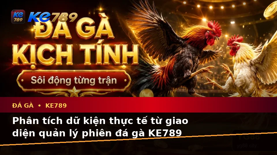 Đá Gà KE789 Tại ke789pg.vip: Phân Tích Dữ Kiện, Rủi Ro Và Giới Hạn Ngân Sách Khi Quản Lý Phiên Chơi Trực Tuyến
