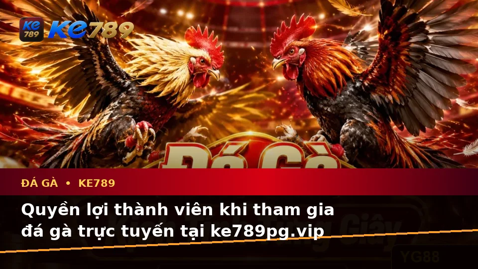 Danh Sách Kiểm Tra Bảo Mật Đá Gà KE789 Và Quyền Lợi Thành Viên Khi Quản Lý Phiên Chơi Trực Tuyến Tại ke789pg.vip