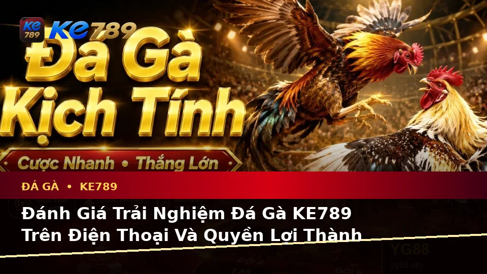Đánh Giá Trải Nghiệm Đá Gà KE789 Trên Điện Thoại Và Quyền Lợi Thành Viên Khi Quản Lý Phiên Chơi Tại ke789pg.vip