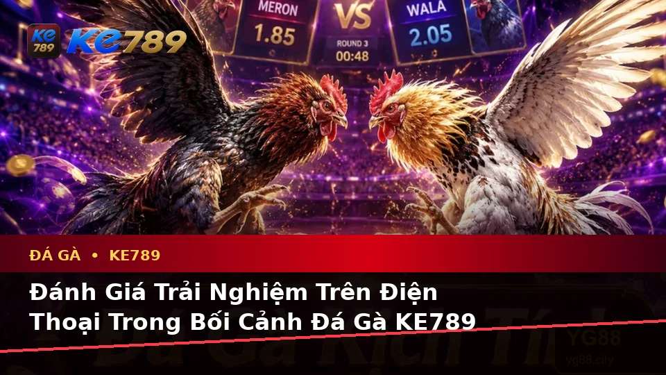 Đánh Giá Trải Nghiệm Đá Gà KE789 Trên Điện Thoại Và Quyền Lợi Thành Viên Khi Quản Lý Phiên Chơi Tại ke789pg.vip