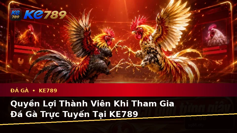 Đánh Giá Trải Nghiệm Đá Gà KE789 Trên Điện Thoại Và Quyền Lợi Thành Viên Khi Quản Lý Phiên Chơi Tại ke789pg.vip