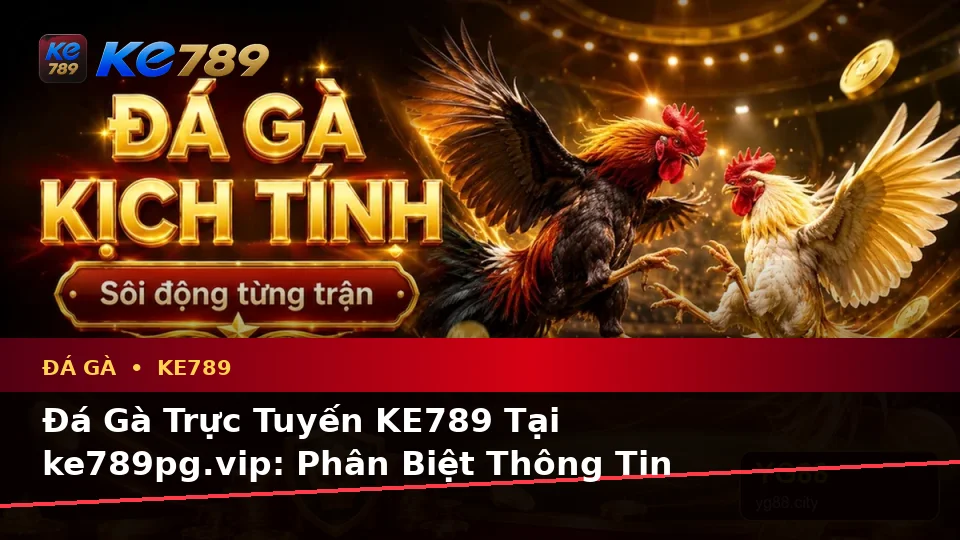 Đá Gà Trực Tuyến KE789 Tại ke789pg.vip: Phân Biệt Thông Tin Xác Thực, Quảng Cáo Và Kỳ Vọng Thực Tế Về Quyền Lợi Thành Viên