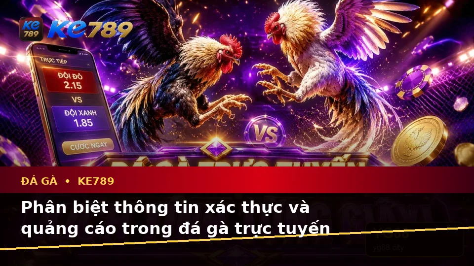 Đá Gà Trực Tuyến KE789 Tại ke789pg.vip: Phân Biệt Thông Tin Xác Thực, Quảng Cáo Và Kỳ Vọng Thực Tế Về Quyền Lợi Thành Viên