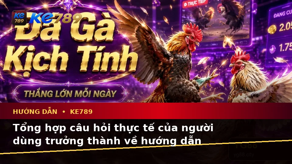 Hướng Dẫn KE789 Tại ke789pg.vip: Tổng Hợp Câu Hỏi Thực Tế Của Người Dùng Trưởng Thành Về Đá Gà Trực Tuyến Và Quản Lý Phiên Chơi